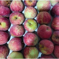 Apples - Royal Delicious (Small)